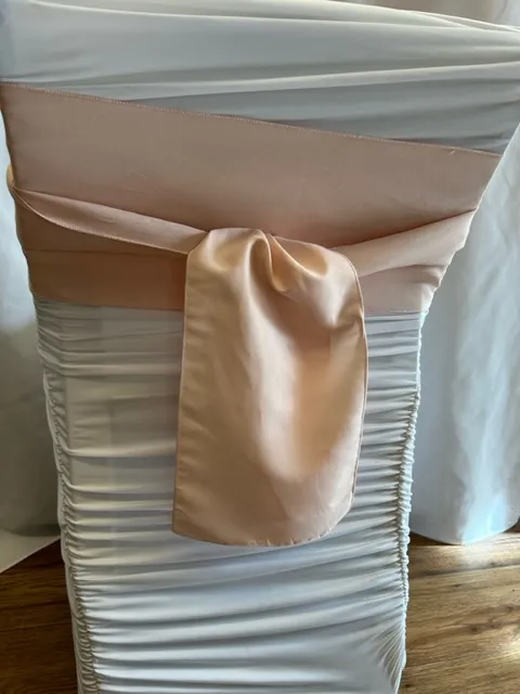 Pale Pink Polyester Sash  