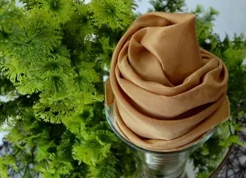 Gold satin Napkin