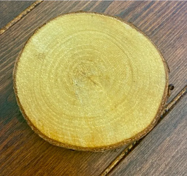 Wooden disk