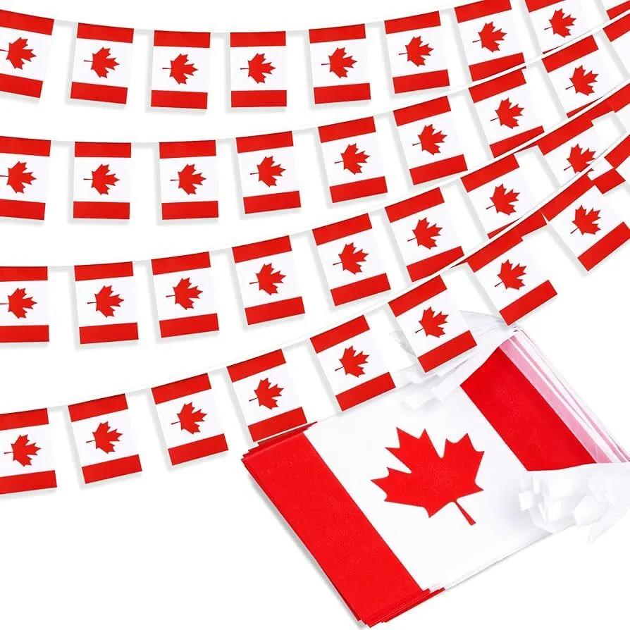 30' Canada Bunting Flag 
