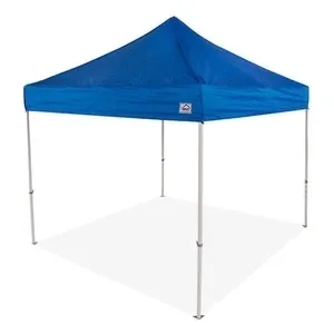 10'x10' BBQ  Tent Blue 