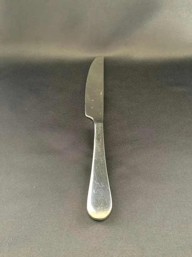 Lumos Dinner Knife 
