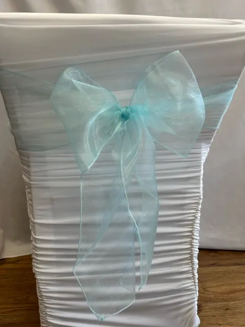 Baby Blue Organza Sash