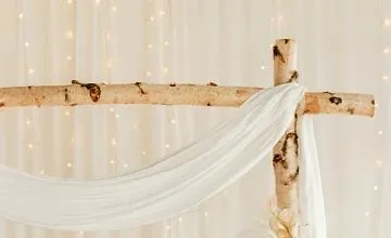 White Birch Arch 