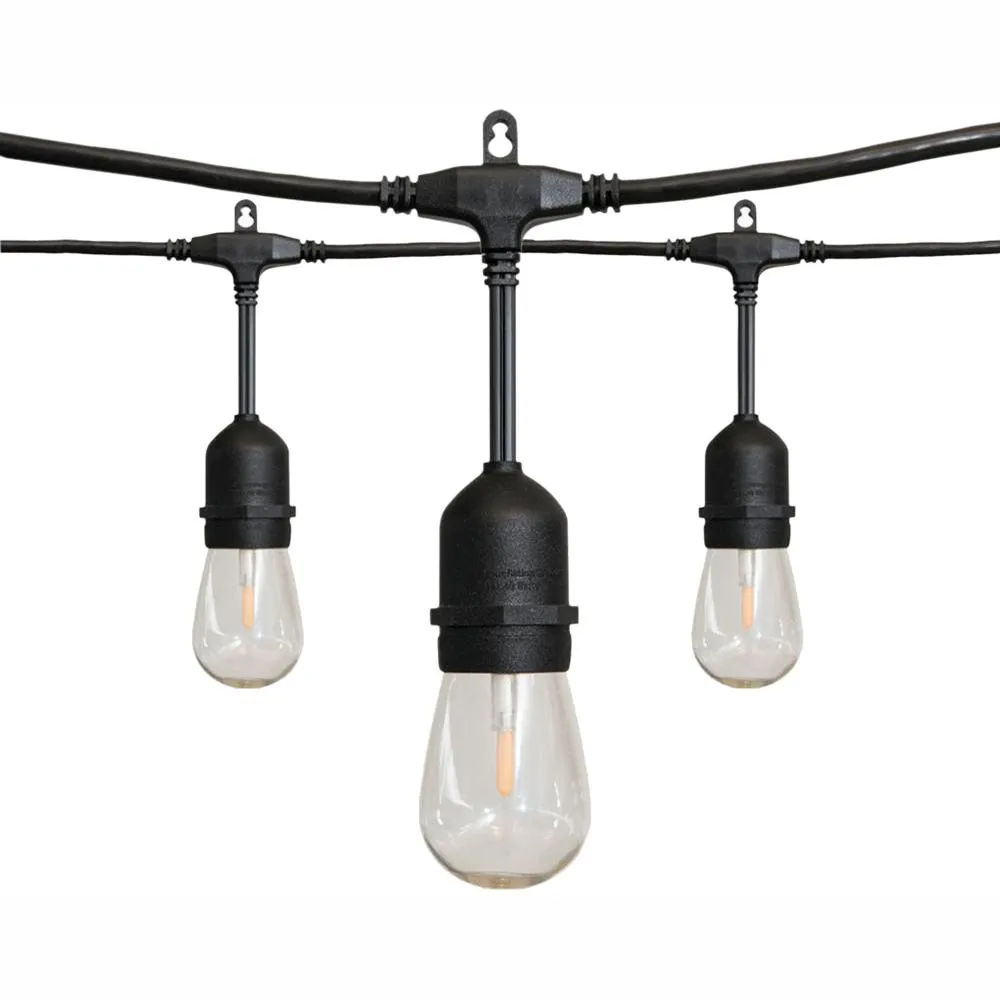 48FT string Edison Light