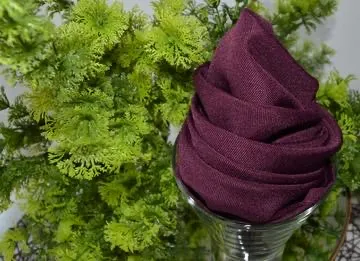 Eggplant Napkin 