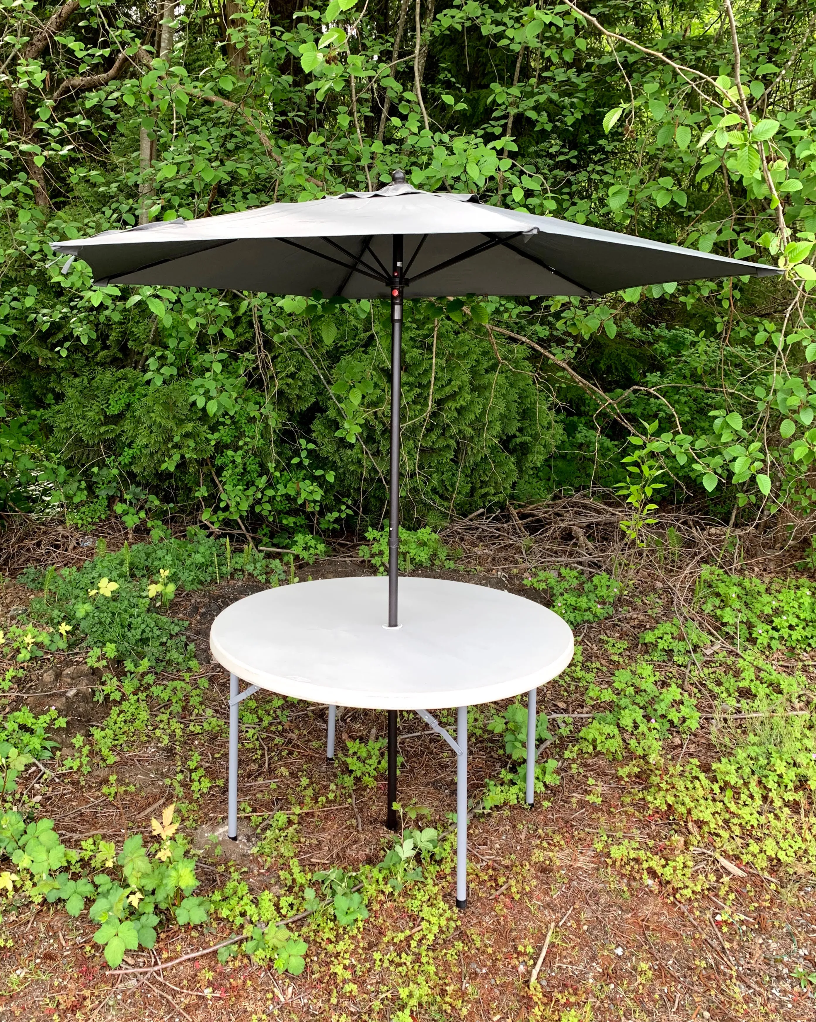 Table Umbrella
