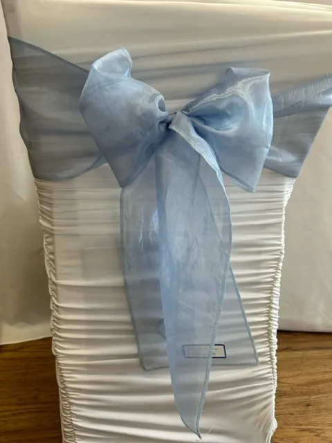 Pale Blue Organza Sash 