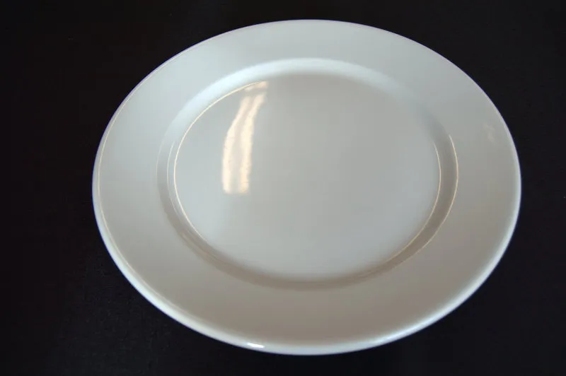 Armorlite dinner plate 