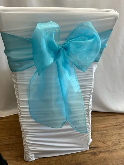 Tiffany Blue Organza sash 