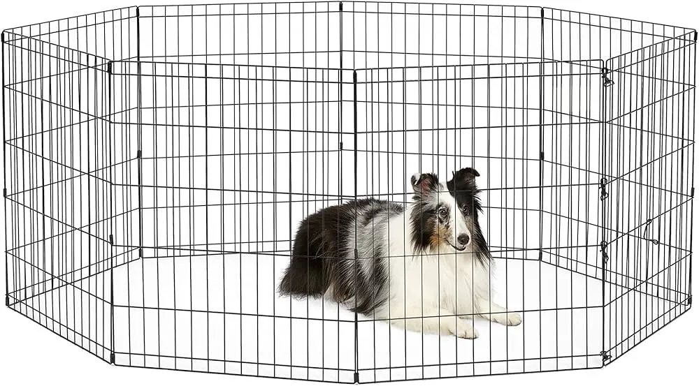 Exercise Pen