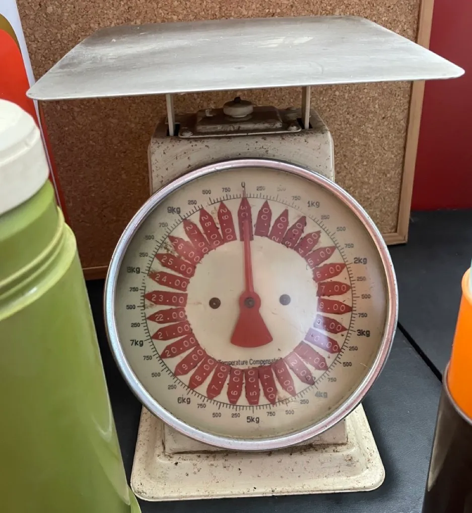 Large Kitchen Scales