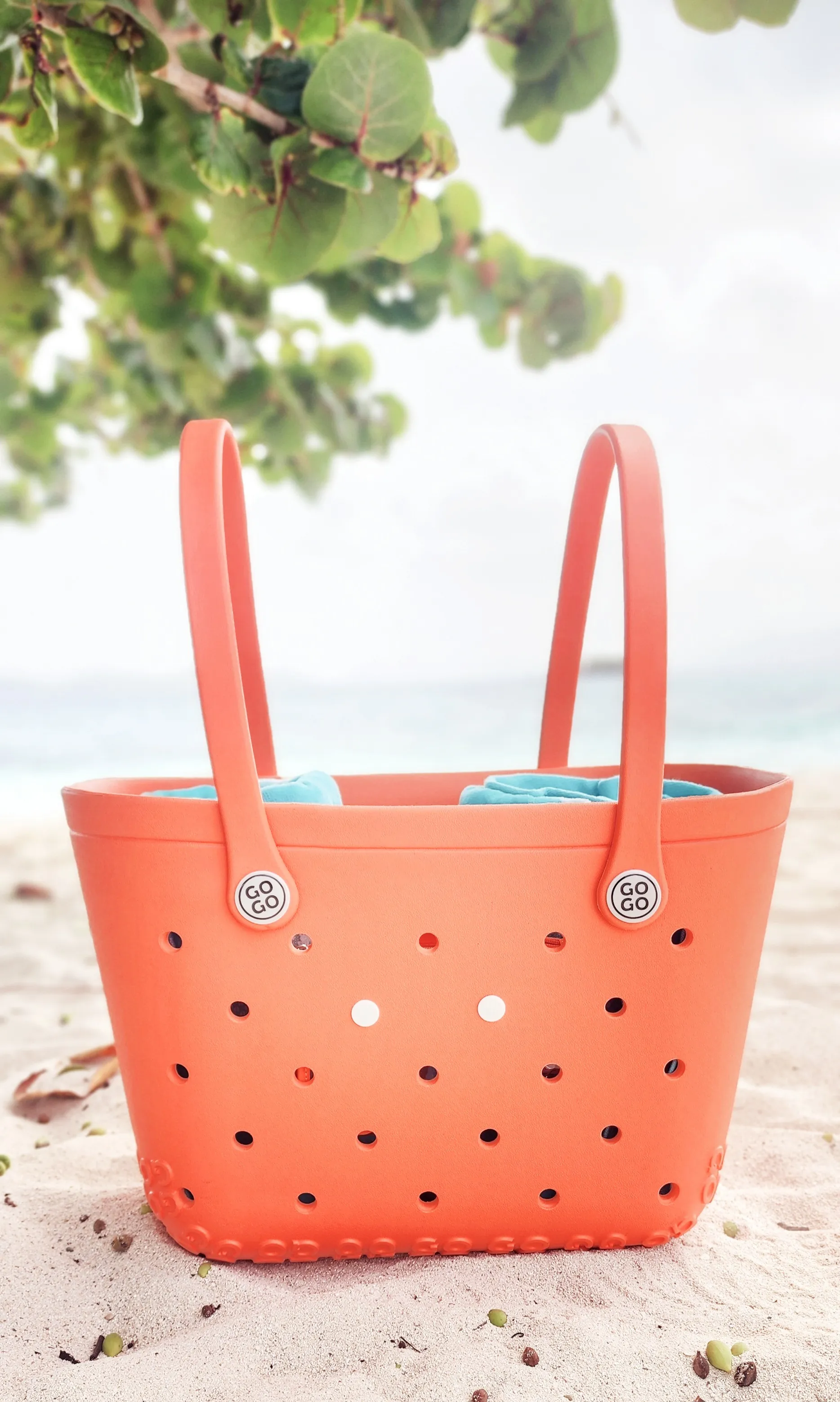 Beach Bag + Towels