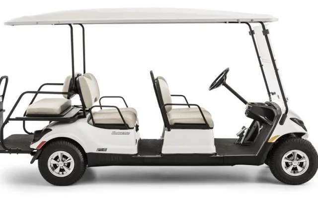 6 Person Golf Cart