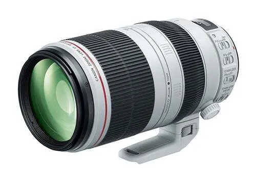 Canon EF 100-400mm f/4.5-5.6 L IS USM Mark II Zoom Lens