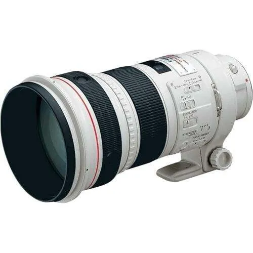 Canon EF 300mm f/2.8 L IS Mk II USM Lens