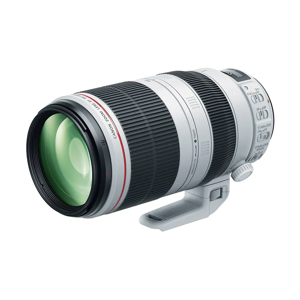 Canon EF 100-400mm f/4.5-5.6 L IS USM Mark II Zoom Lens