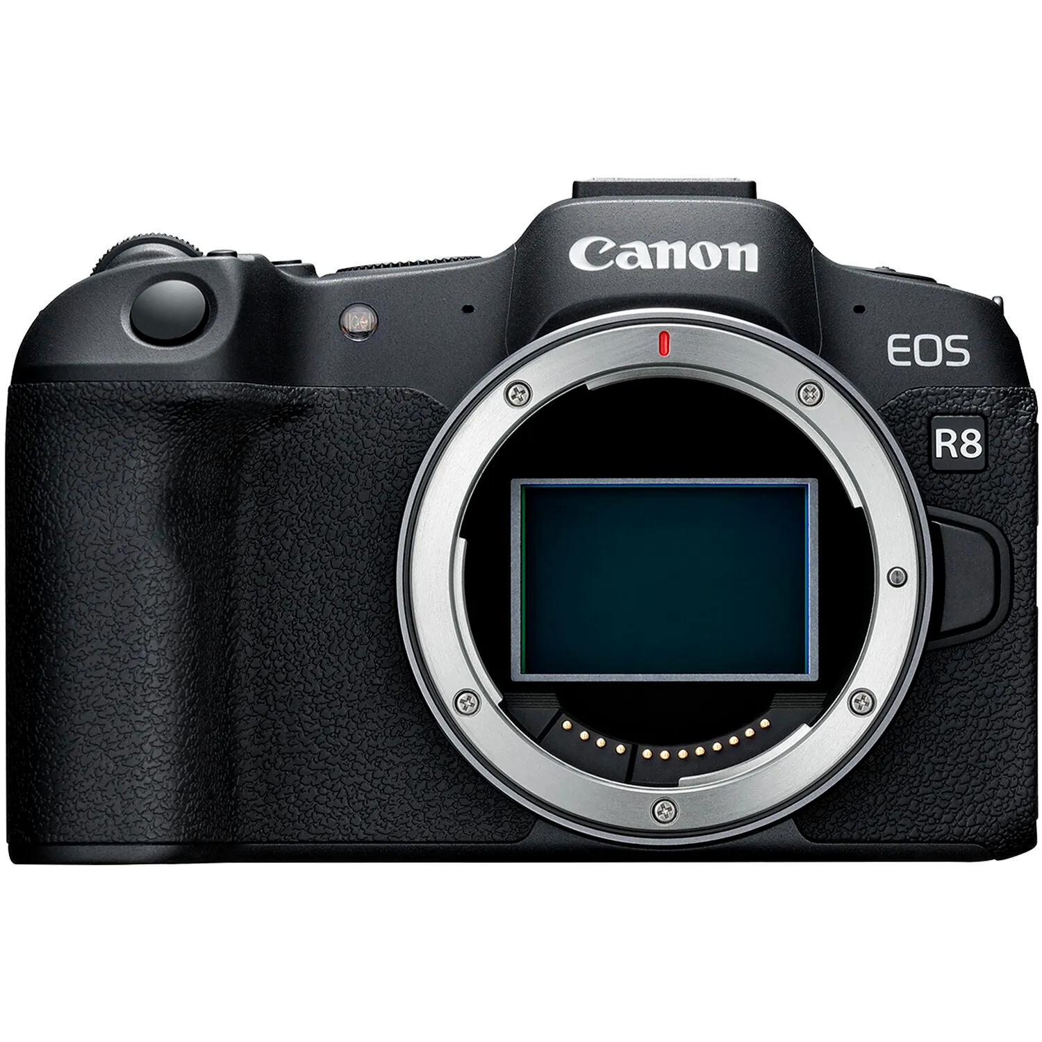 Canon EOS R8 Full-Frame Mirrorless Camera & EF/RF Adapter
