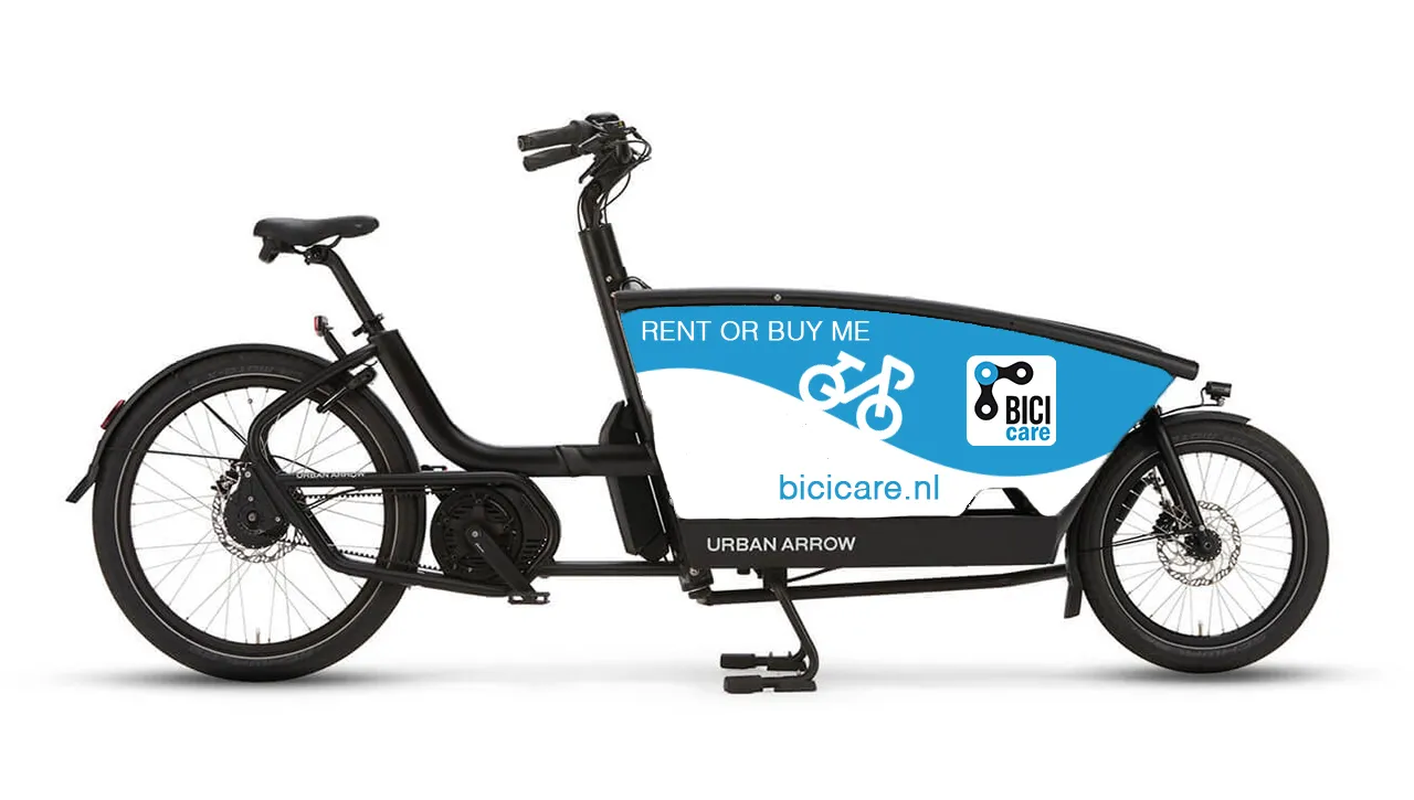 Family Electric Cargo Bike