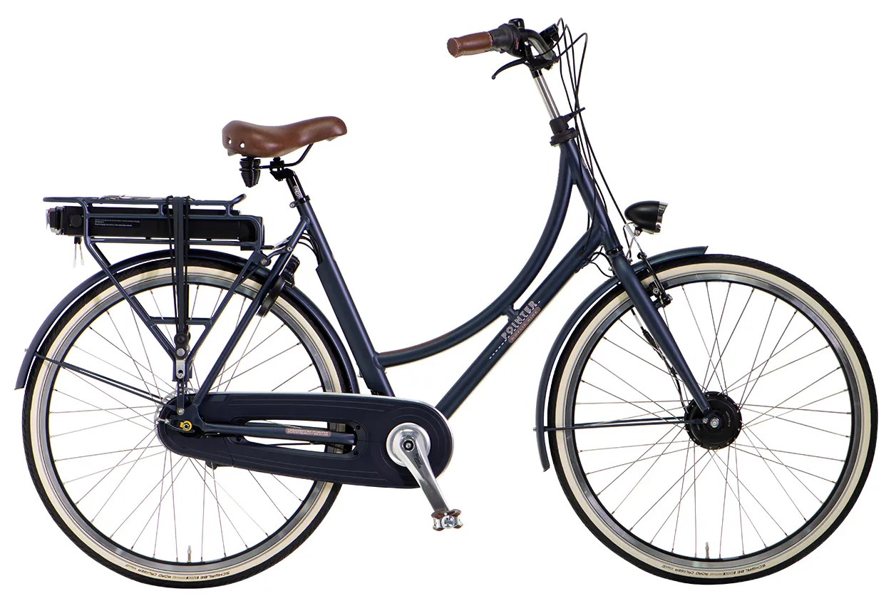 Standard Electric Bike