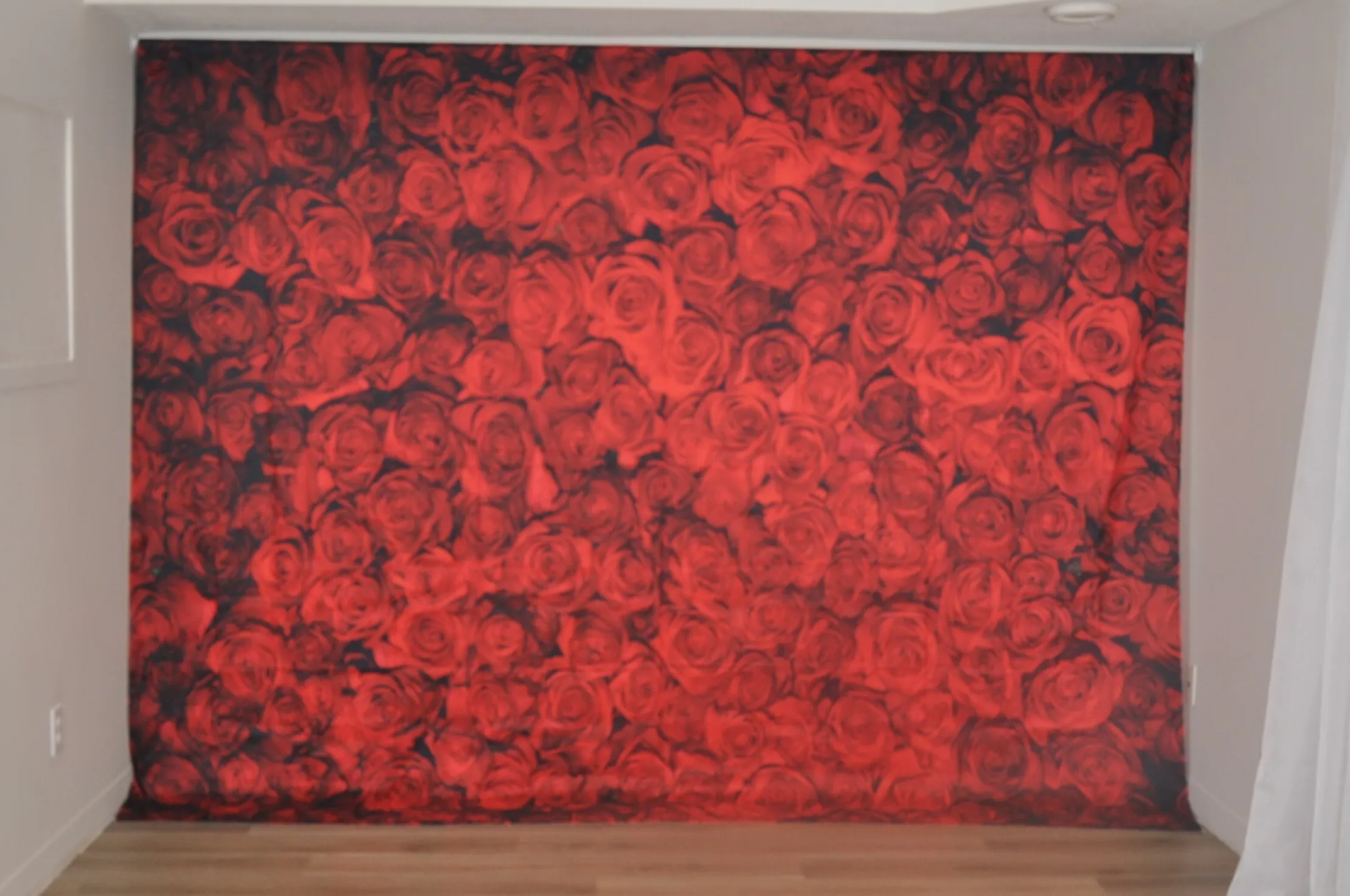 Backdrops Roses 10ftx8ft