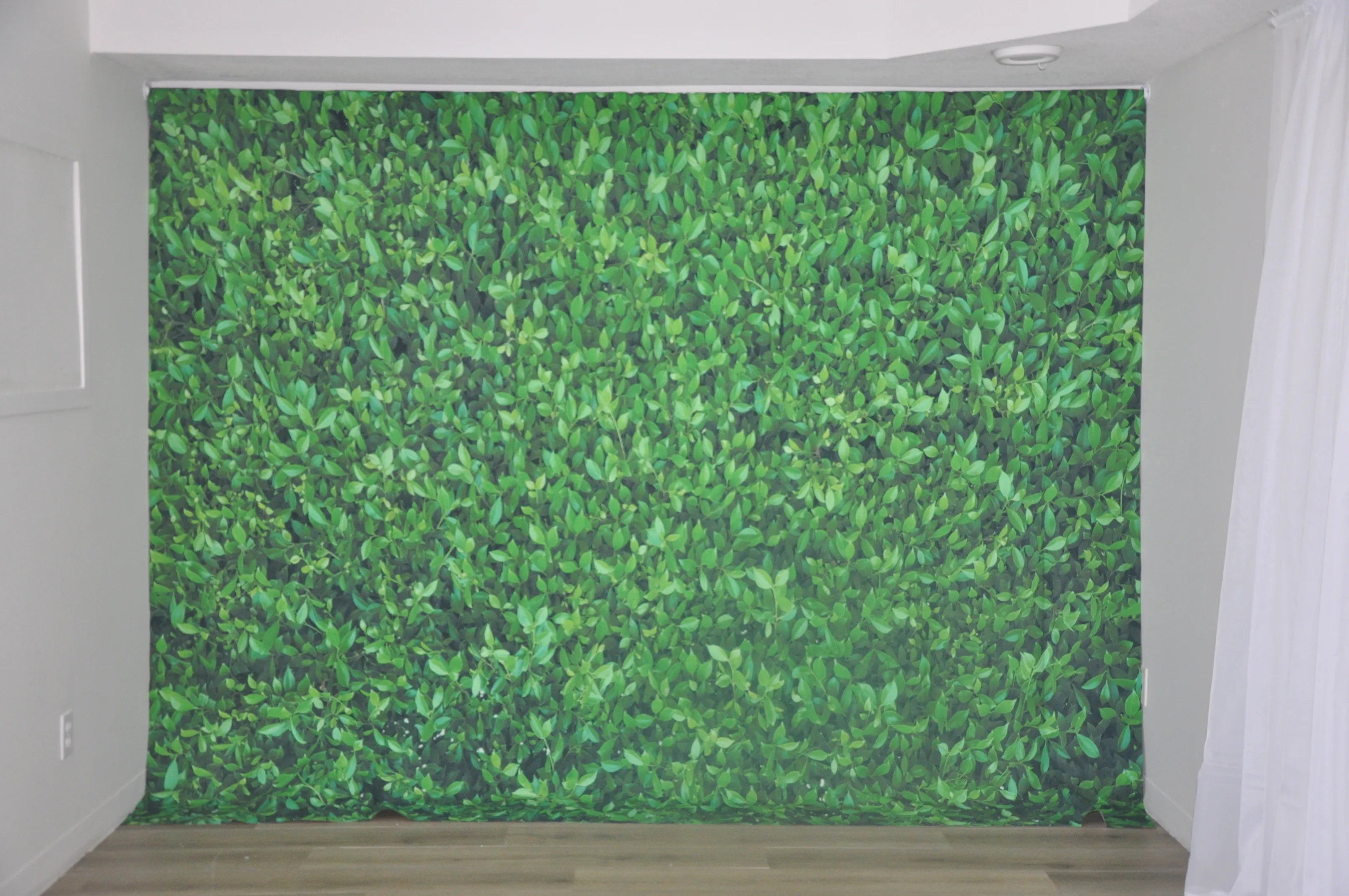 Backdrops Leaves 10ftx8ft
