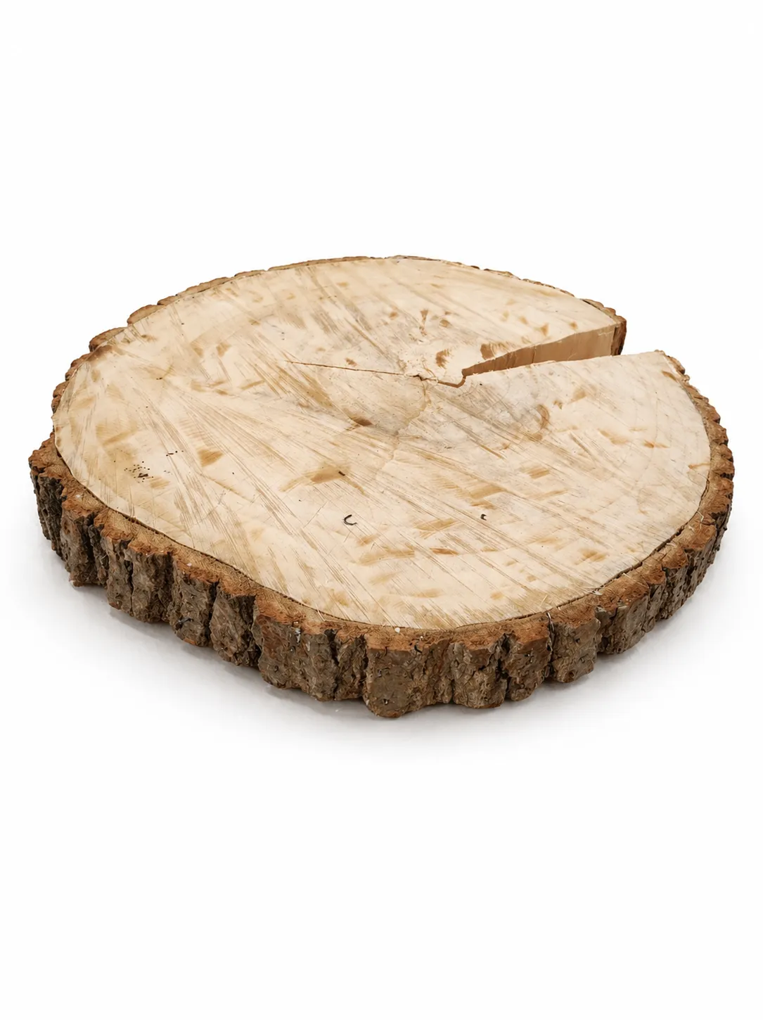 Baumscheibe groß