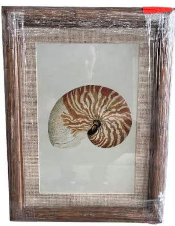 AW 8169 - Artwork - Small - Framed Shell Natural 