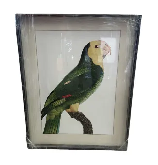 AW 4509 - Artwork - Medium - Parrot Print in Dark Bamboo with Glass Frame