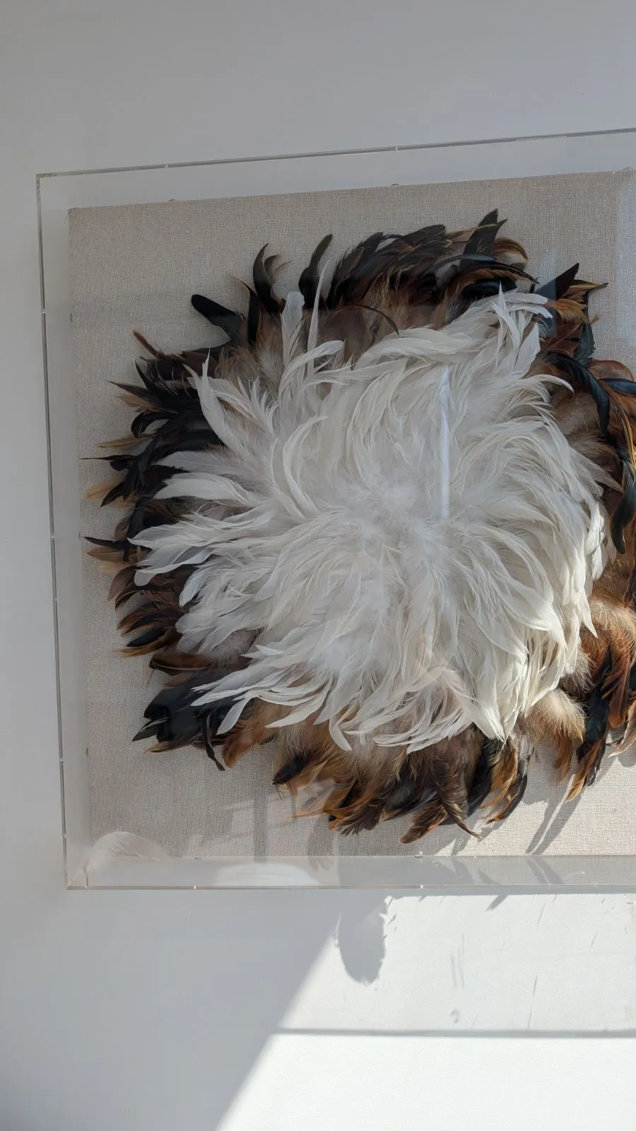 AW 1779 - Encased Native Indian Feather Feature - Small Artwork