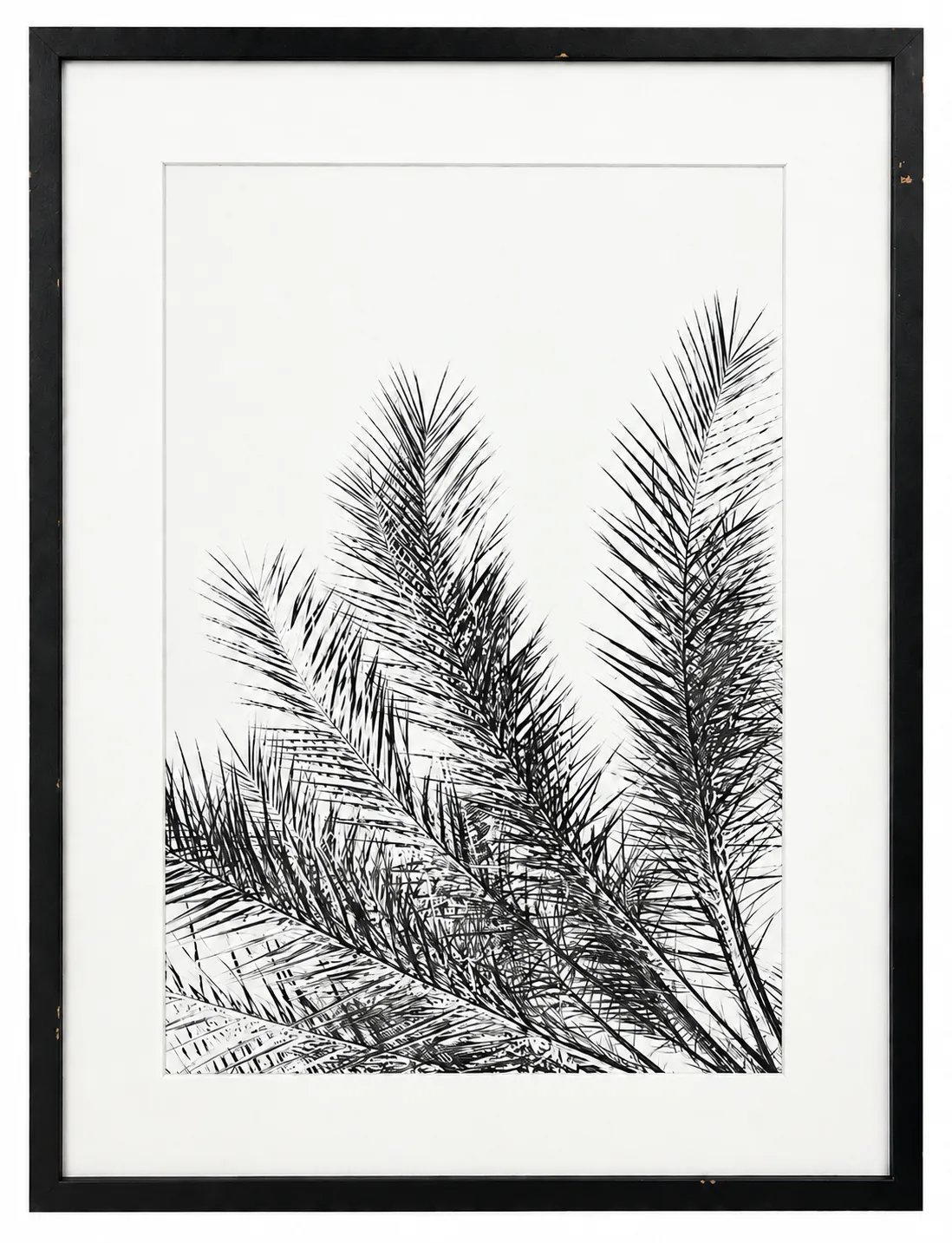 AW 1891 - Artwork - Large - California Black & White Inverted