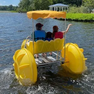 Paddling collection image