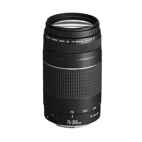CANON 75-300mm f4 FF (58ø) 