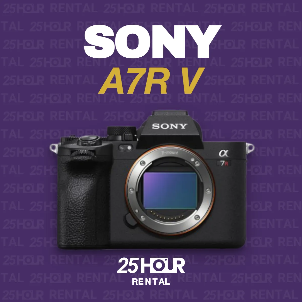 SONY A7RV 