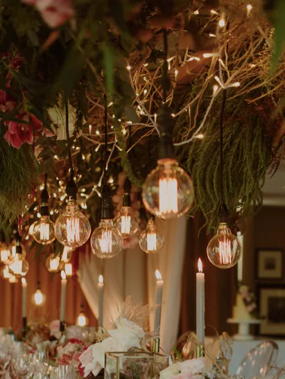 20M EDISON BULBS STRINGS