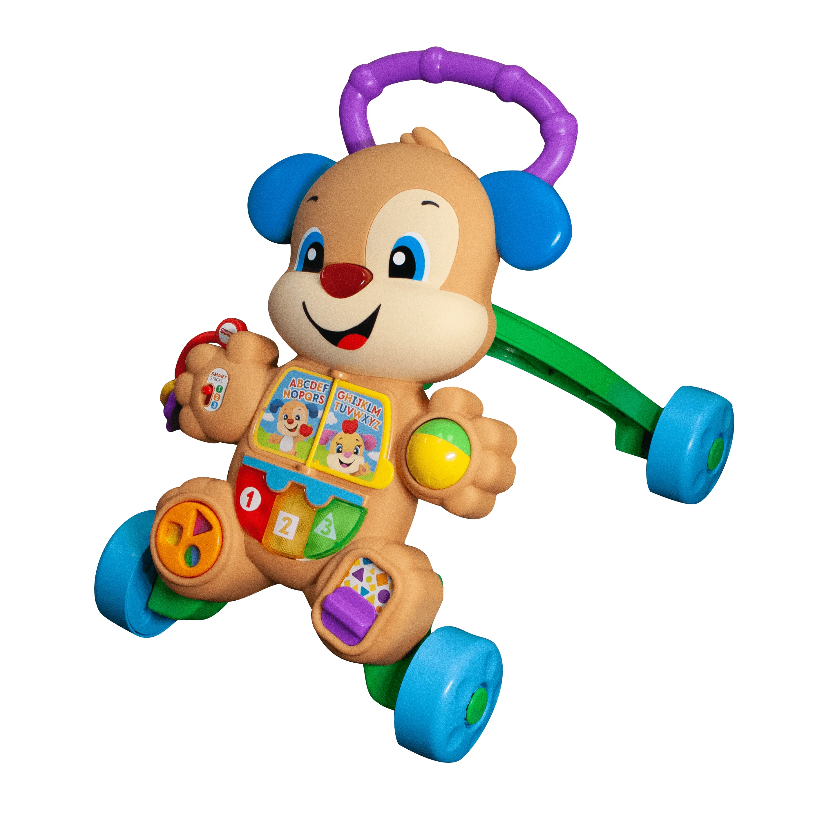 Puppy learning walker