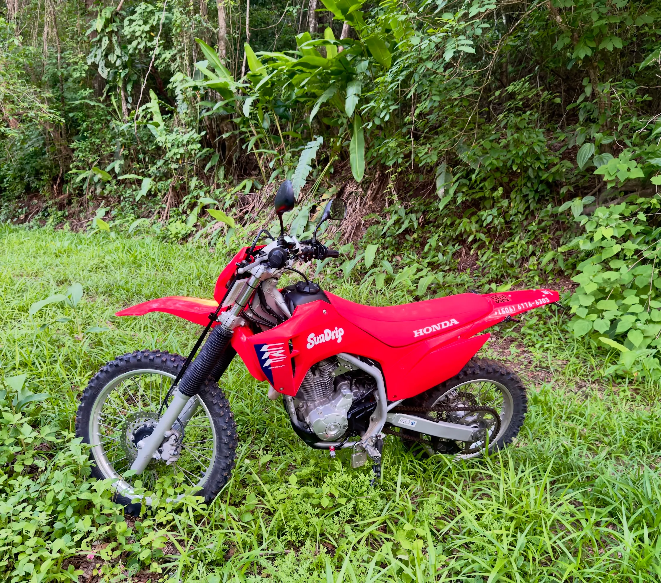 Honda CRF 300f