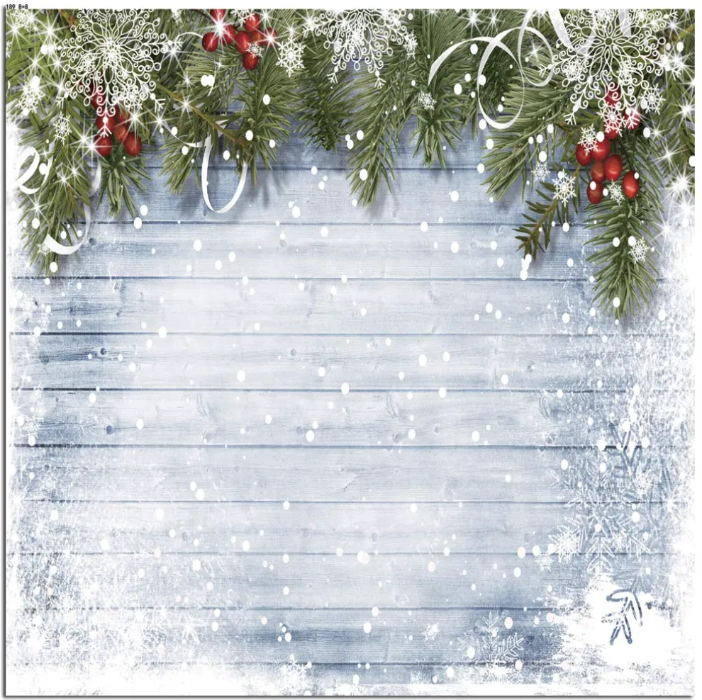 8X8ft Winter Photography Backdrop
