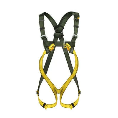Scaffold straps