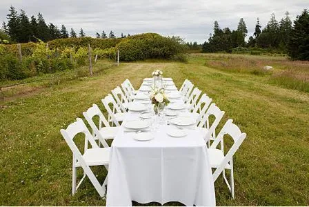 102” White Rectangle Tablecloths