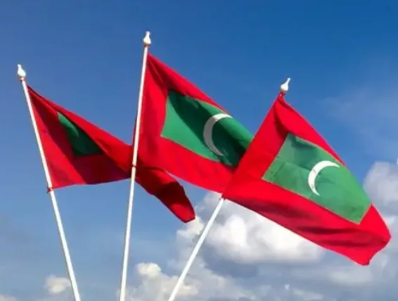 FLAG POST WOODEN WITH NATIONAL FLAG
