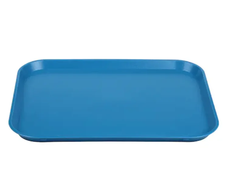 TRAY PLASTIC