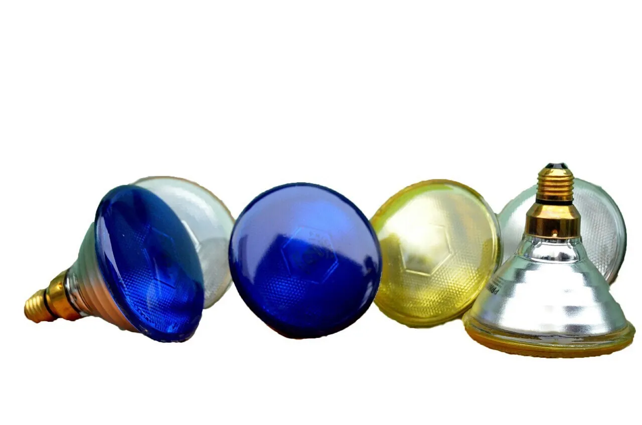 SPOT LIGHT BULBS