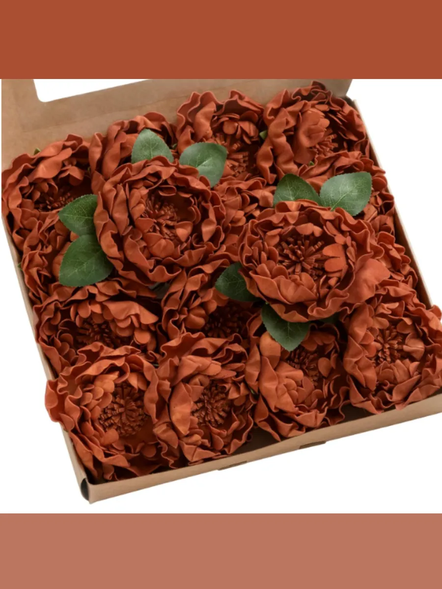 Burnt Orange Peony