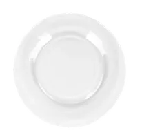 Glass Dinner Plate