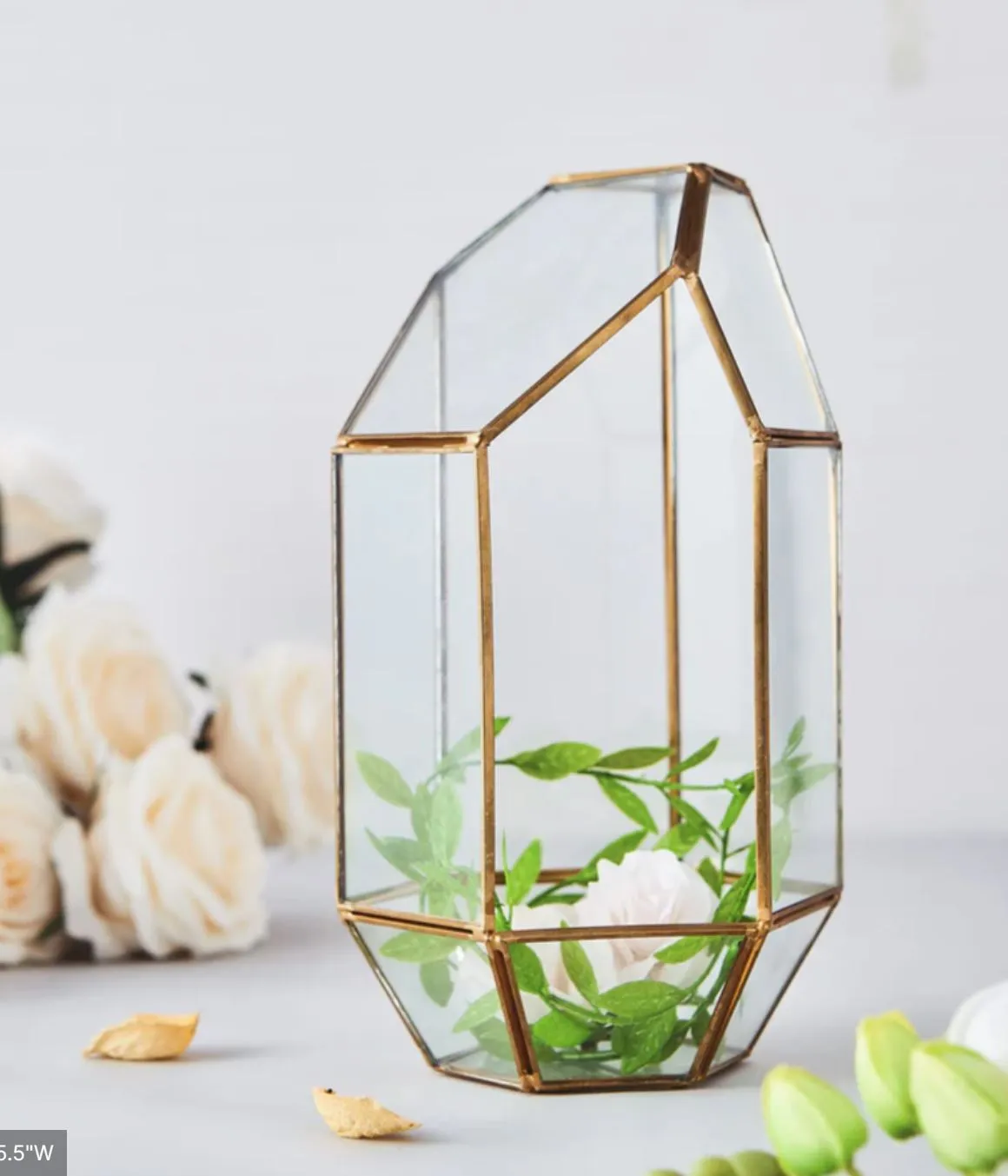 Gold & Glass Terrariums 