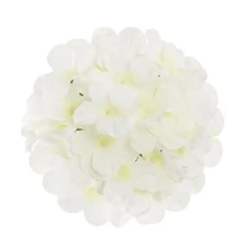 Hydrangea White Flower