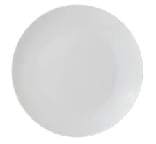 White Dinner Plate