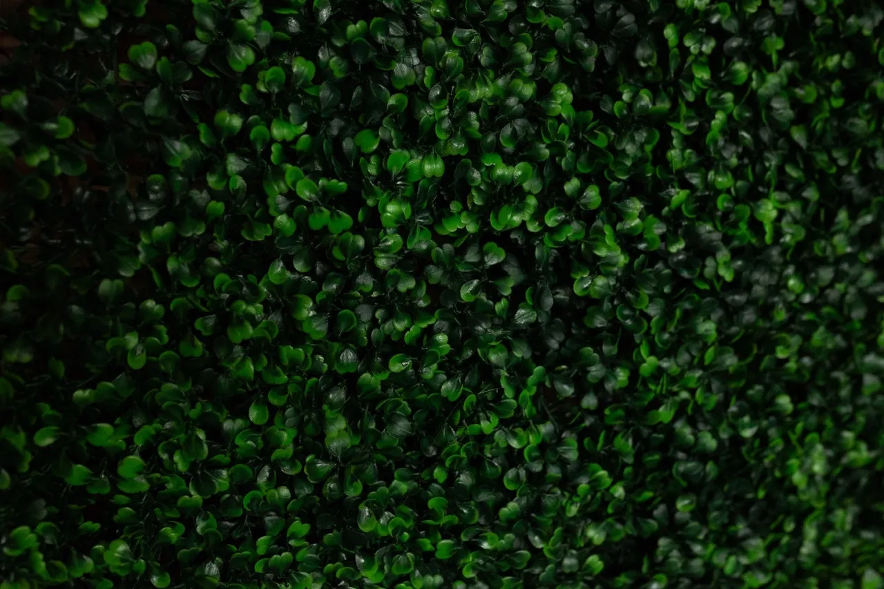 Faux Greenery Backdrop