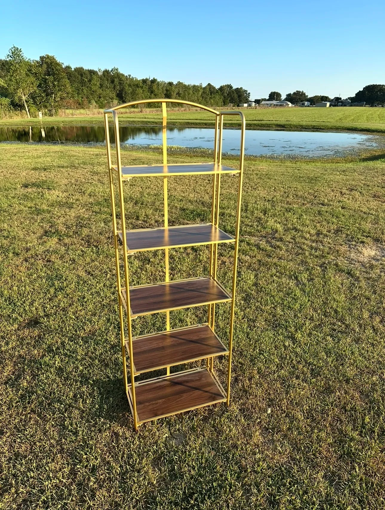 Gold trim wood Shelf